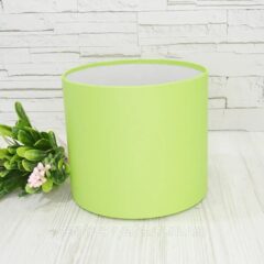 Шляпна коробка салатова 18см