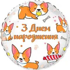 З ДН коргі коло