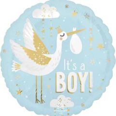 It's a Boy - лелека на блакитному