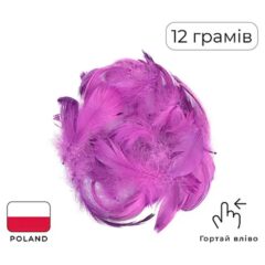 Пірʼя фіолетове