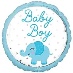 Baby Boy Elephant виписка