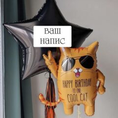 Класний кіт