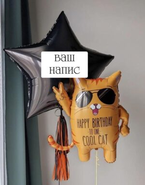 Класний кіт